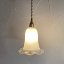 アクシス/シェード